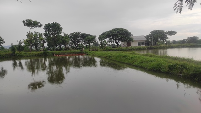 Ini Dampak Masa Transisi Antara Musim Hujan Dan Kemarau Menurut BMKG Tuban